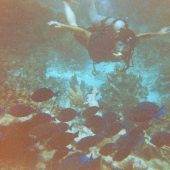  Lighthouse Reef, Belize